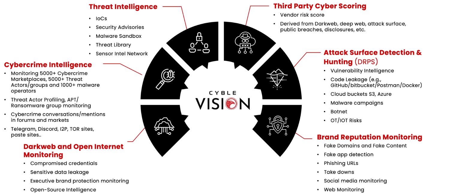 OVERVIEW OF CYBLE VISION SERVICES AND SOLUTIONS